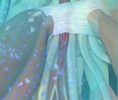 1777228471185376.gif